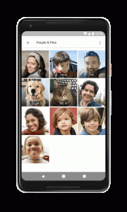 Leia mais sobre o artigo Google Fotos agora reconhece seus pets