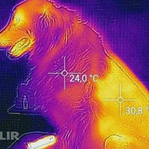 Leia mais sobre o artigo Verão chegando…