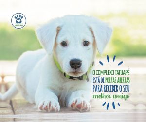 Leia mais sobre o artigo Shopping Boulevard e Metro Tatuape de portas abertas para seu pet