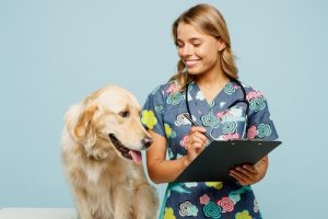 Leia mais sobre o artigo 10 Dicas para Manter a Saúde do Seu Pet em Dia