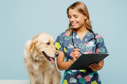 Leia mais sobre o artigo 10 Dicas para Manter a Saúde do Seu Pet em Dia